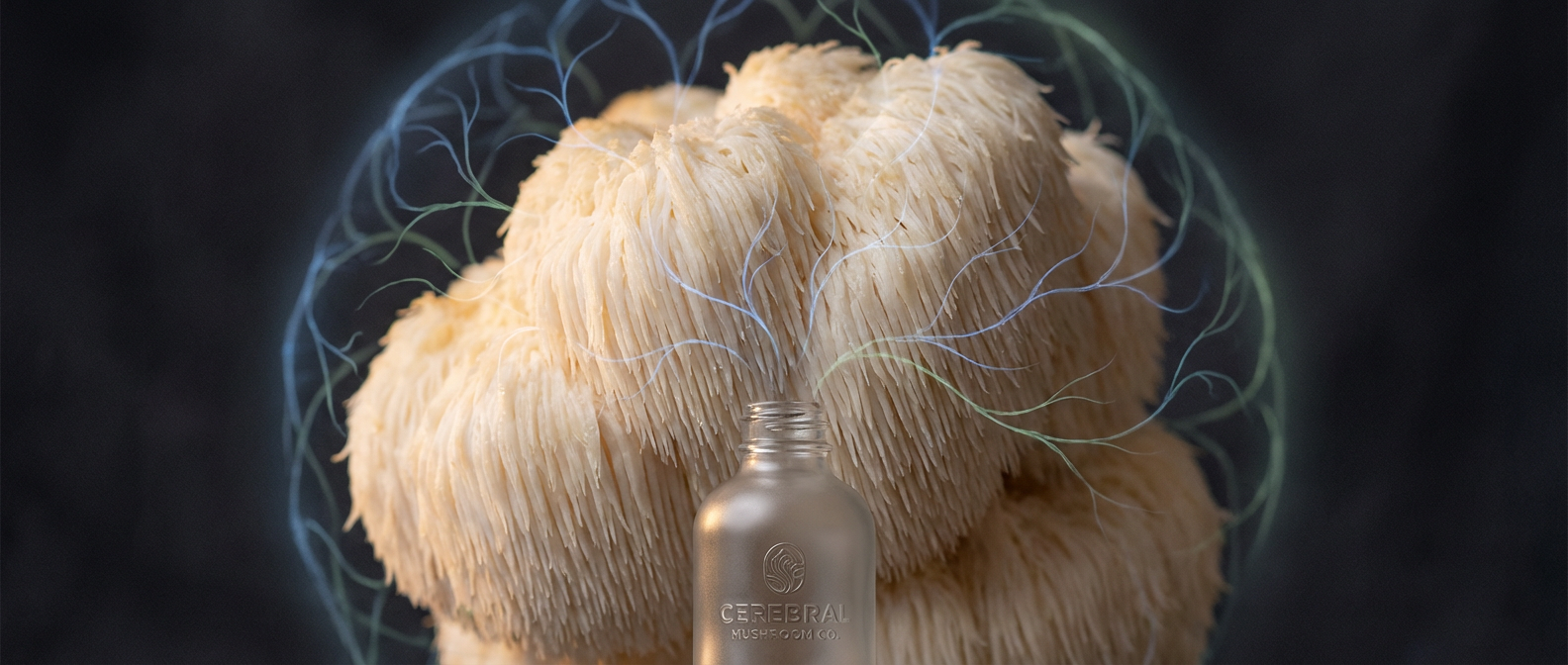 lions mane
